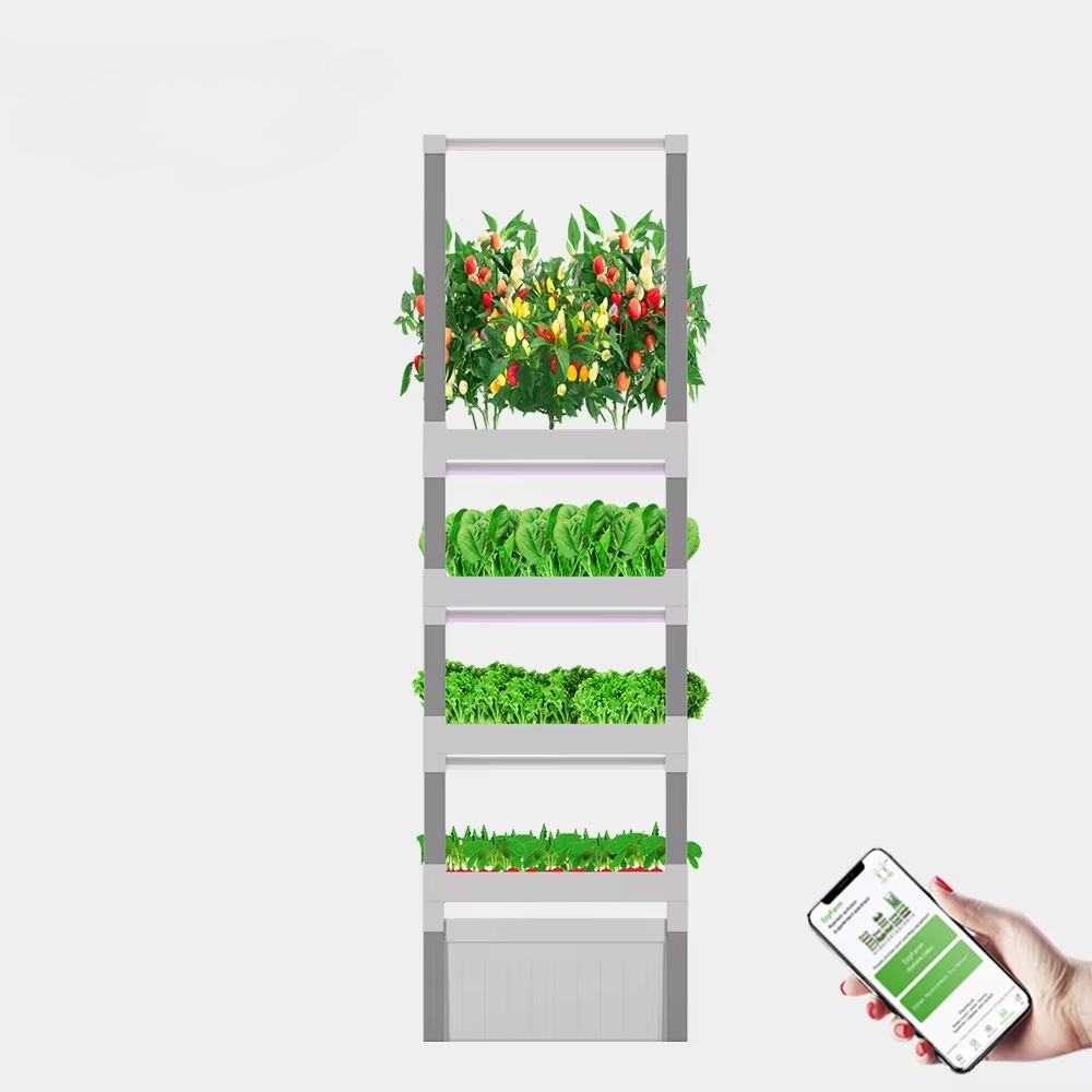 NT الصين نظام صندوق النمو الما - مراجعة Diy Home Automation System وسعره