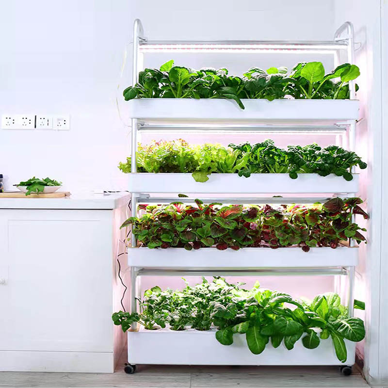 نظام زراعة ydroponic نظام أتمت - مراجعة Diy Home Automation System وسعره